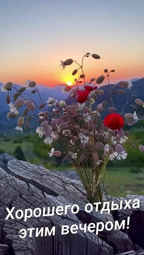 Изображение №37 736x1307 «Открытка Хорошего отдыха этим вечером!» из коллекции «Летние открытки «Хорошего доброго вечера!»»