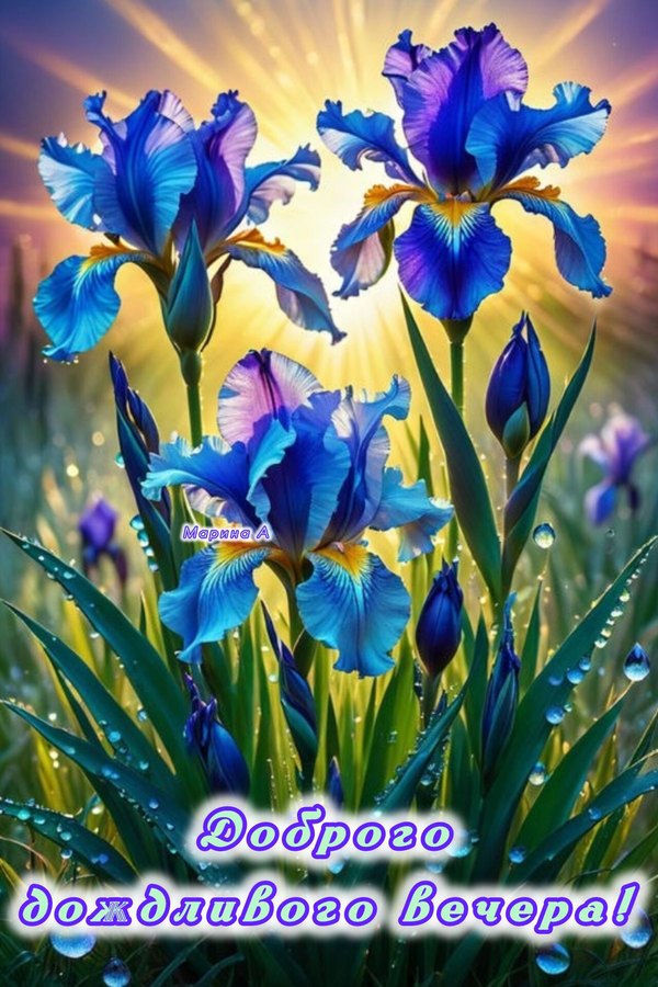 Изображение №42 1200x1800  из коллекции «Летние открытки «Хорошего доброго вечера!»»