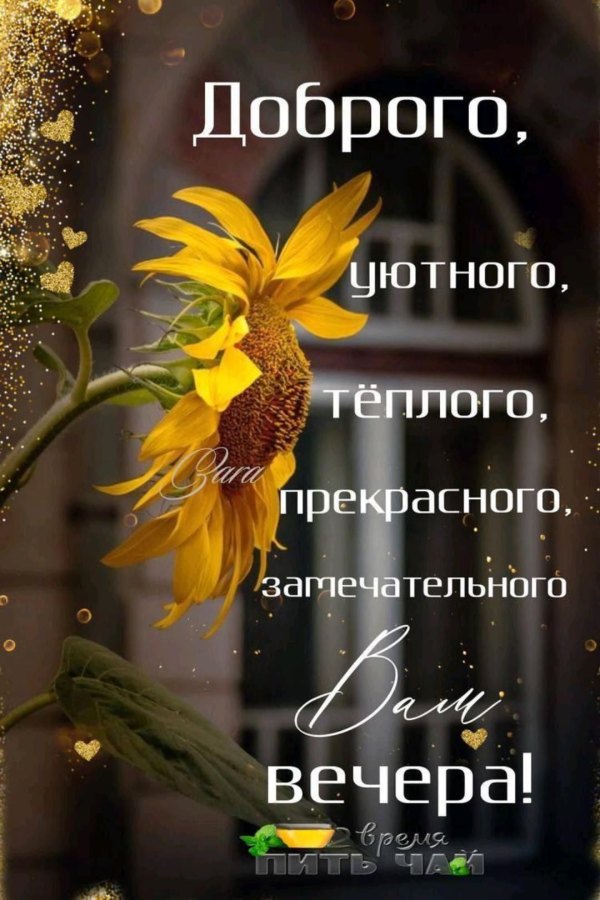 Изображение №51 1080x1620 «Доброго уютного прекрасного вам вечера!» из коллекции «Летние открытки «Хорошего доброго вечера!»»