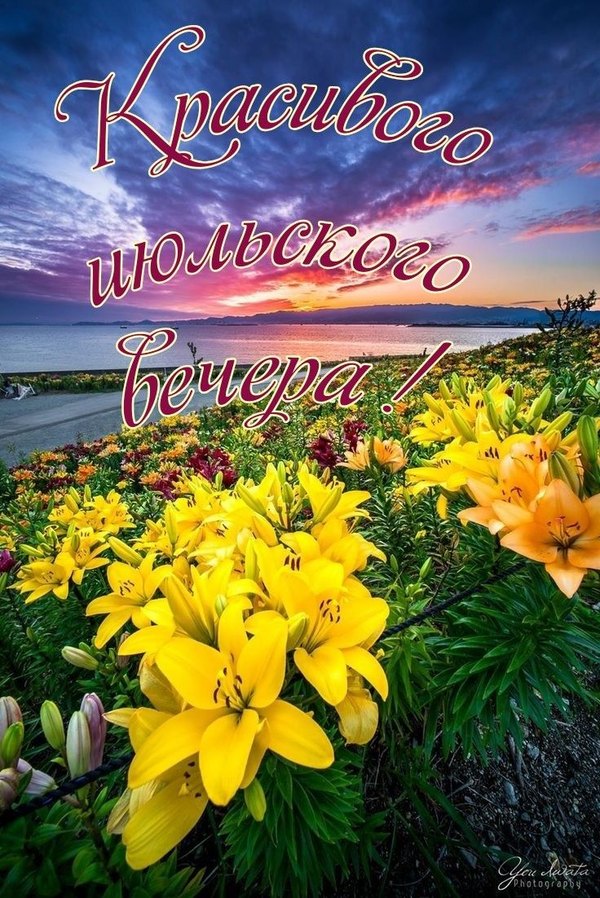 Изображение №55 736x1102 «Открытка Красивого июльского вечера!» из коллекции «Летние открытки «Хорошего доброго вечера!»»