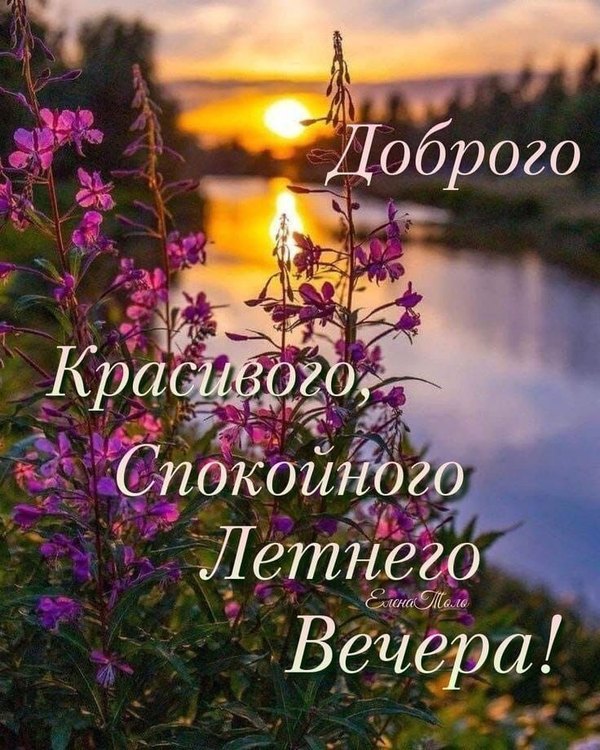 Изображение №61 736x920  из коллекции «Летние открытки «Хорошего доброго вечера!»»