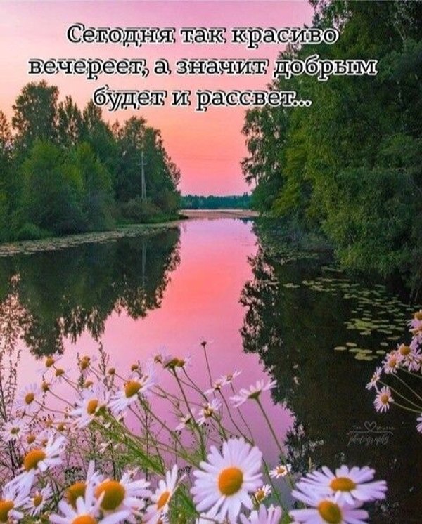 Изображение №56 480x597 «Сегодня так красиво вечереет...» из коллекции «Летние открытки «Хорошего доброго вечера!»»