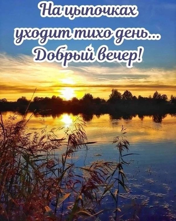 Изображение №81 564x705  из коллекции «Летние открытки «Хорошего доброго вечера!»»