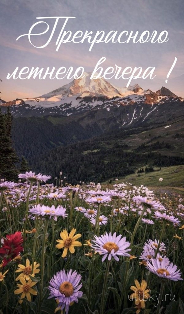 Изображение №36 703x1200 «Открытка Прекрасного летнего вечера!» из коллекции «Летние открытки «Хорошего доброго вечера!»»