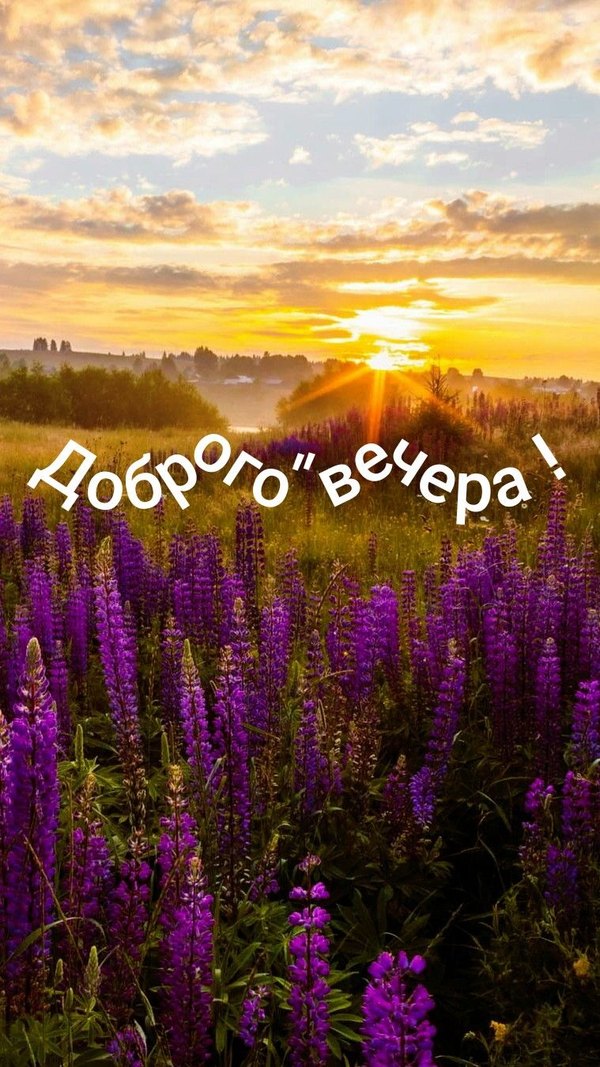 Изображение №71 759x1350 «Открытка Доброго вечера!» из коллекции «Летние открытки «Хорошего доброго вечера!»»