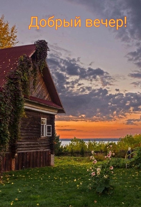 Изображение №24 736x1078  из коллекции «Летние открытки «Хорошего доброго вечера!»»