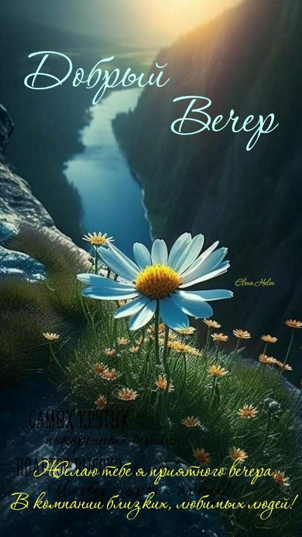 Изображение №25 720x1280  из коллекции «Летние открытки «Хорошего доброго вечера!»»