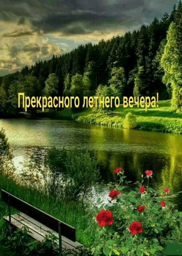 Изображение №29 456x640 «Открытка Прекрасного летнего вечера!» из коллекции «Летние открытки «Хорошего доброго вечера!»»