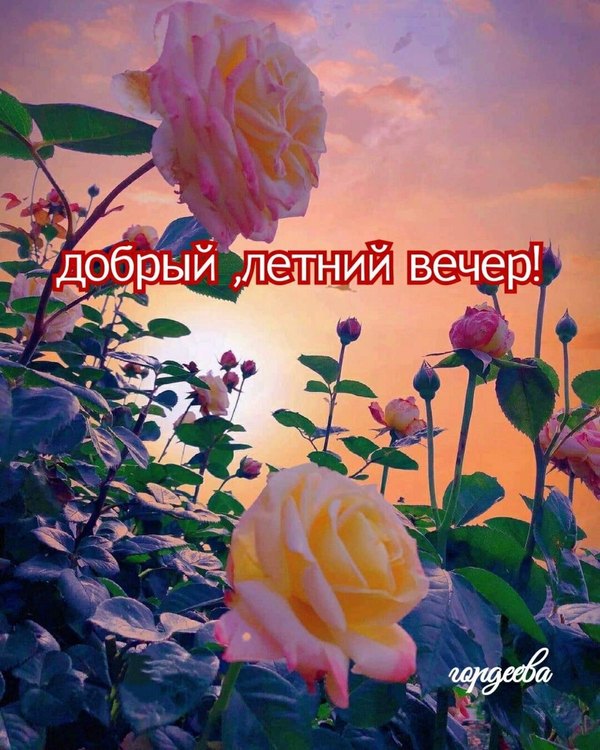 Изображение №20 1200x1500 «Открытка Добрый летний вечер!» из коллекции «Летние открытки «Хорошего доброго вечера!»»