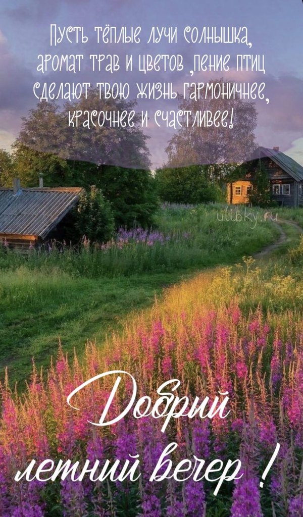 Изображение №62 703x1200 «Открытка Добрый летний вечер!» из коллекции «Летние открытки «Хорошего доброго вечера!»»