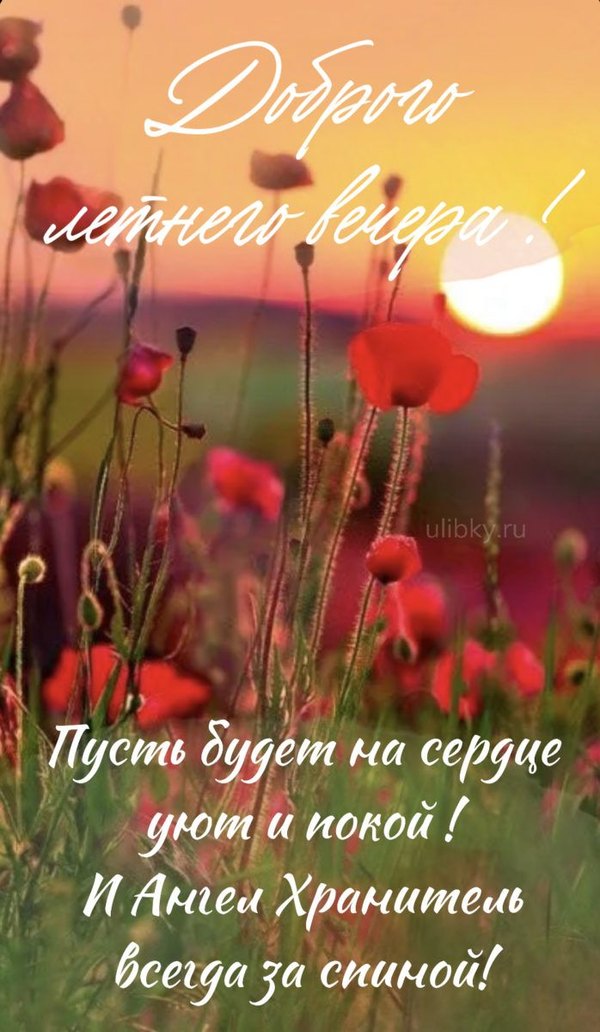 Изображение №40 698x1200 «Пожелание Доброго летнего вечера!» из коллекции «Летние открытки «Хорошего доброго вечера!»»