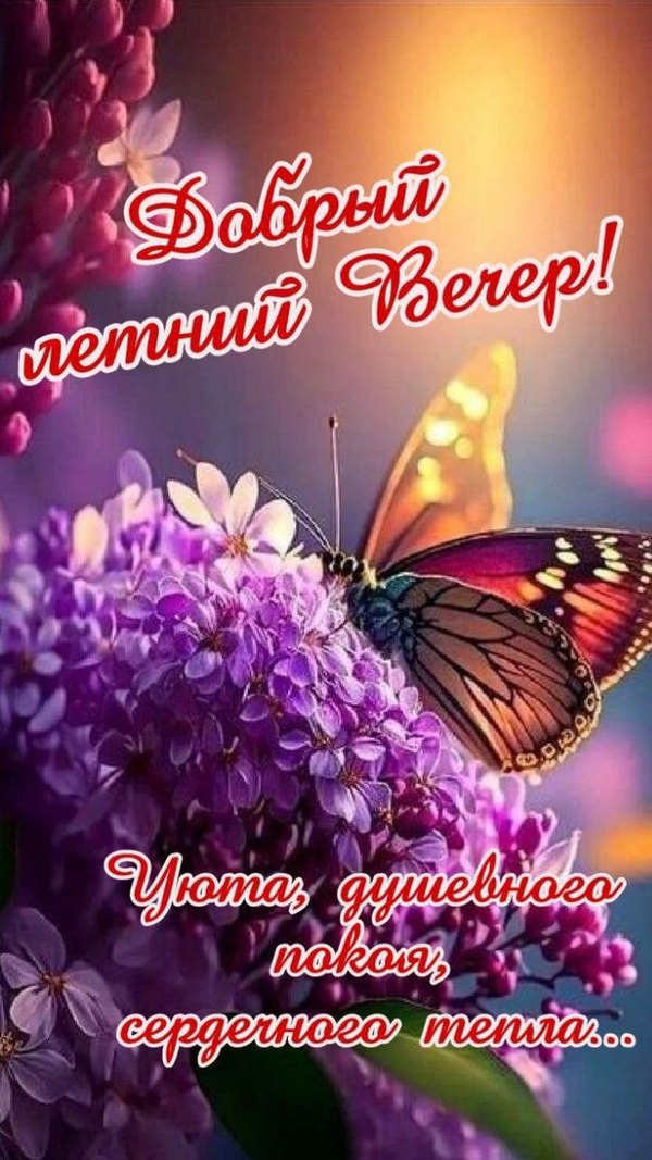 Изображение №32 720x1280 «Красивая открытка Добрый летний вечер!» из коллекции «Летние открытки «Хорошего доброго вечера!»»