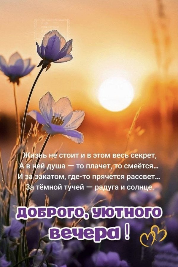 Изображение №13 736x1104 «Открытка Доброго уютного вечера! Закат.» из коллекции «Летние открытки «Хорошего доброго вечера!»»