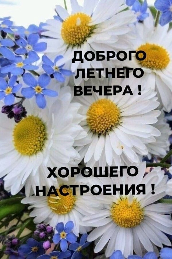 Изображение №66 720x1080 «Открытка Доброго летнего вечера! Цветы.» из коллекции «Летние открытки «Хорошего доброго вечера!»»