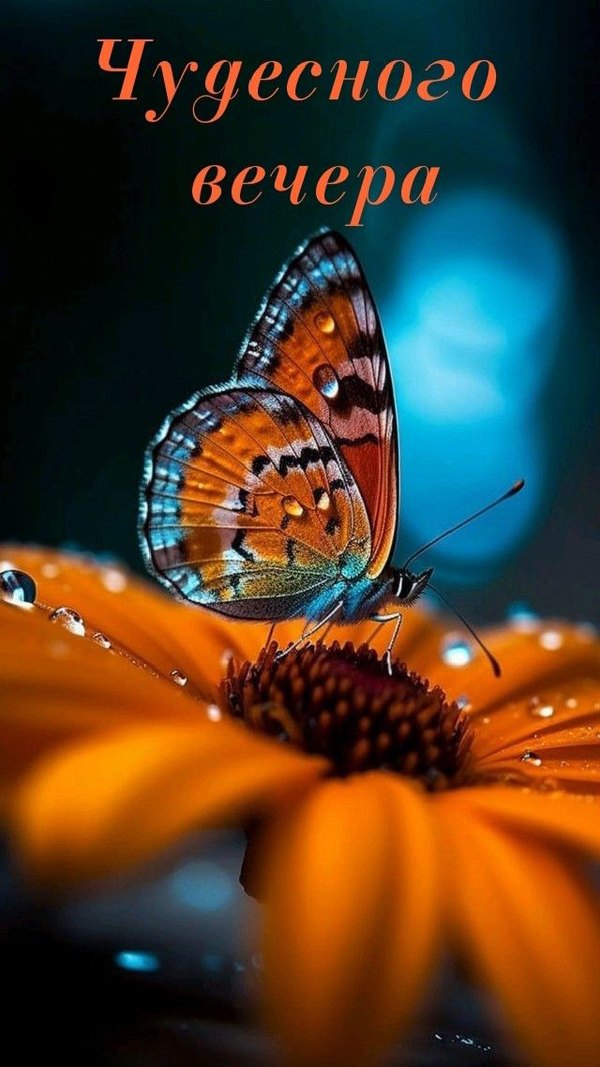 Изображение №64 640x1138  из коллекции «Летние открытки «Хорошего доброго вечера!»»