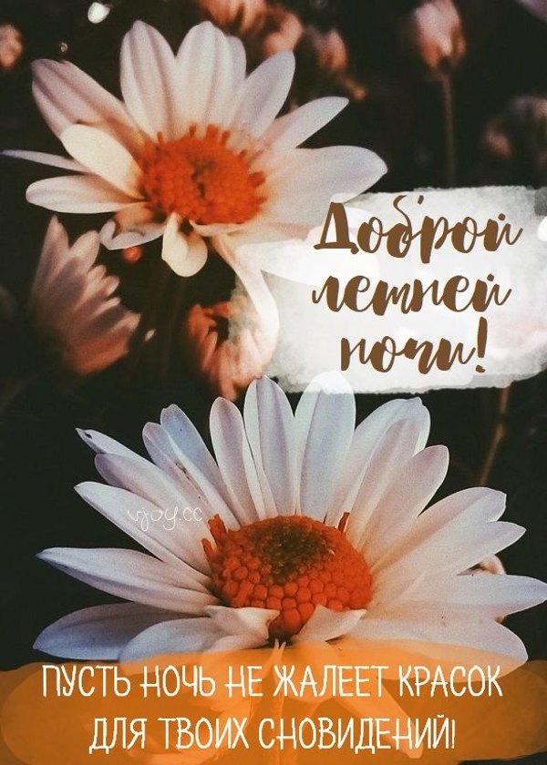 Изображение №46 586x820  из коллекции «Летние открытки «Спокойной доброй ночи!»»