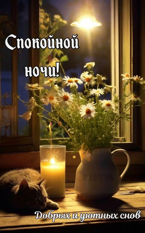 Изображение №23 1000x1610  из коллекции «Летние открытки «Спокойной доброй ночи!»»