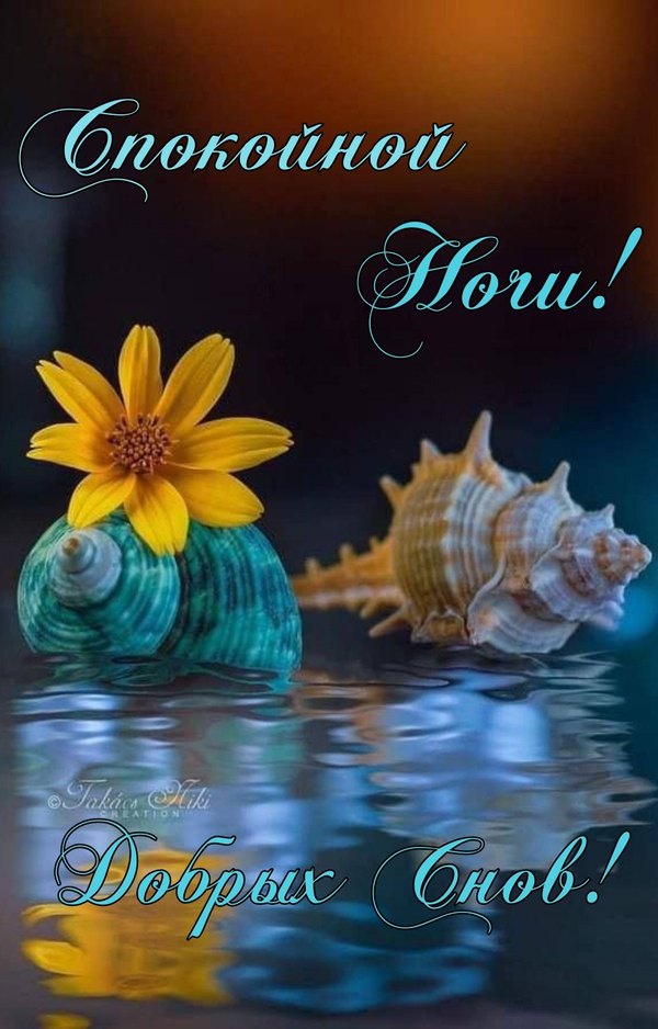 Изображение №53 1080x1689  из коллекции «Летние открытки «Спокойной доброй ночи!»»