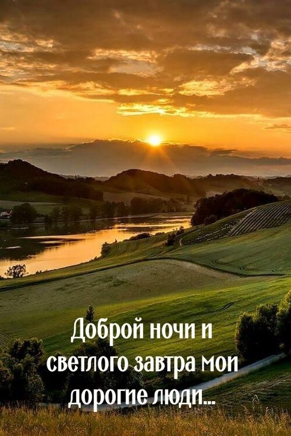 Изображение №26 564x846  из коллекции «Летние открытки «Спокойной доброй ночи!»»