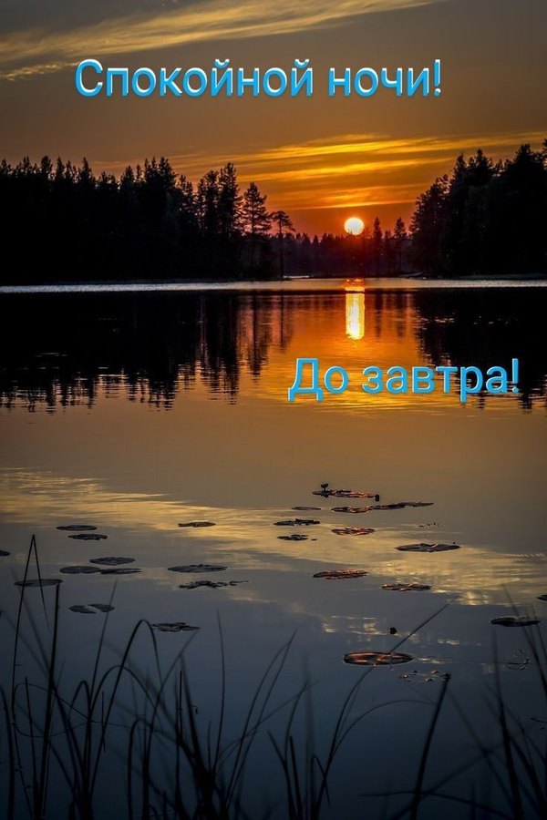 Изображение №50 736x1104  из коллекции «Летние открытки «Спокойной доброй ночи!»»