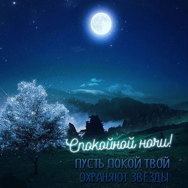 Изображение №79 736x736 «Пусть покой твой охраняют звёзды! Спокойной ночи!» из коллекции «Летние открытки «Спокойной доброй ночи!»»