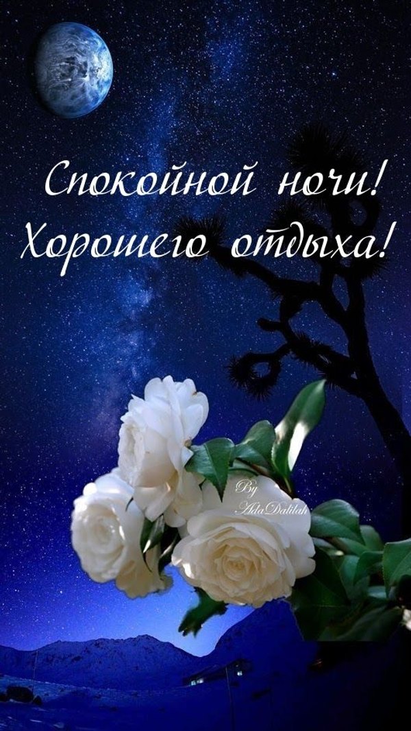 Изображение №33 530x942 «Открытка Спокойной ночи! Хорошего отдыха!» из коллекции «Летние открытки «Спокойной доброй ночи!»»