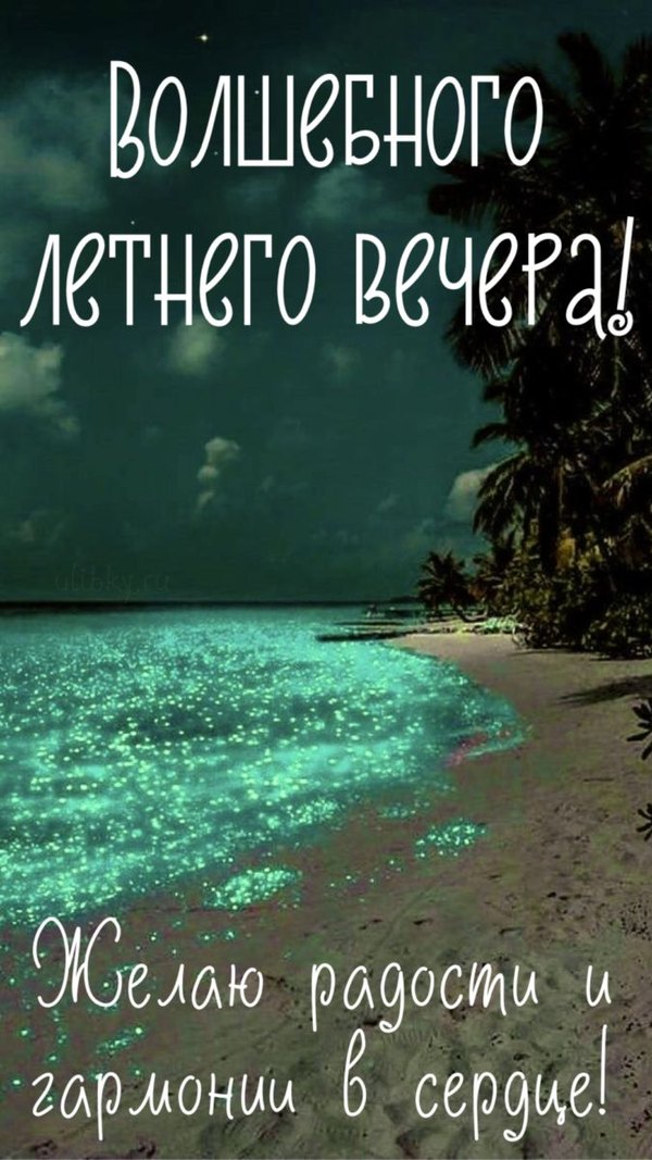 Изображение №3 675x1200 «Открытка Волшебного летнего вечера!» из коллекции «Летние открытки «Спокойной доброй ночи!»»