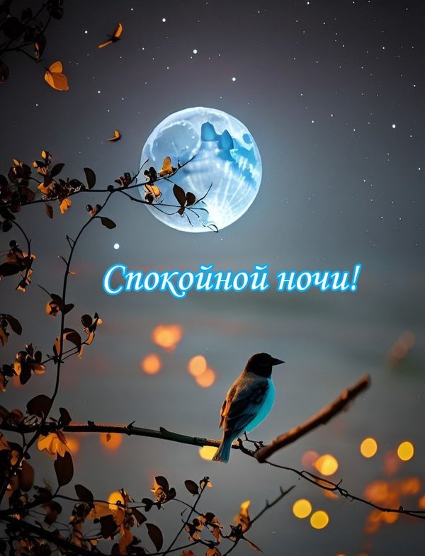 Изображение №32 736x963  из коллекции «Летние открытки «Спокойной доброй ночи!»»