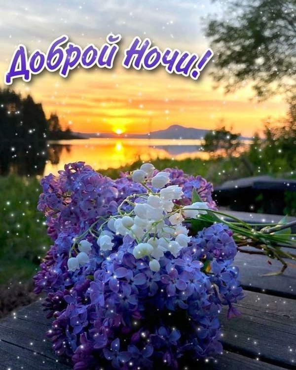 Изображение №27 564x705  из коллекции «Летние открытки «Спокойной доброй ночи!»»