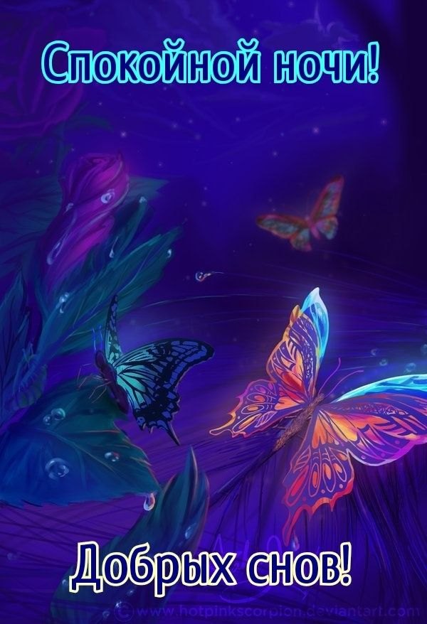 Изображение №51 600x878 «Открытка Спокойной ночи! Добрых снов!» из коллекции «Летние открытки «Спокойной доброй ночи!»»