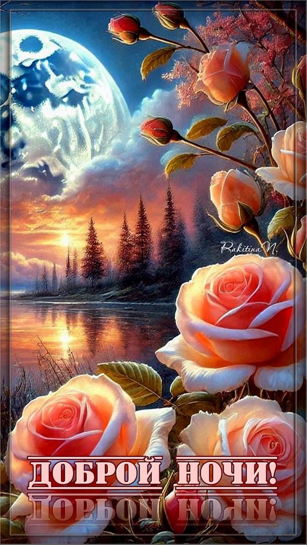 Изображение №15 804x1428  из коллекции «Летние открытки «Спокойной доброй ночи!»»