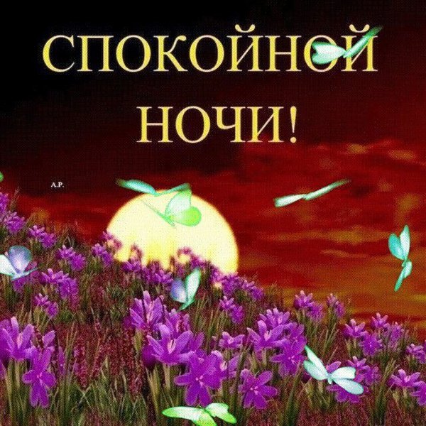 Изображение №66 640x640  из коллекции «Летние открытки «Спокойной доброй ночи!»»