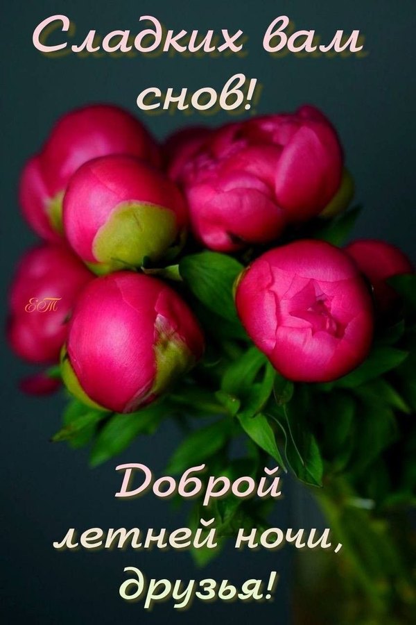 Изображение №63 853x1280 «Открытка Доброй летней ночи! Сладких вам снов!» из коллекции «Летние открытки «Спокойной доброй ночи!»»