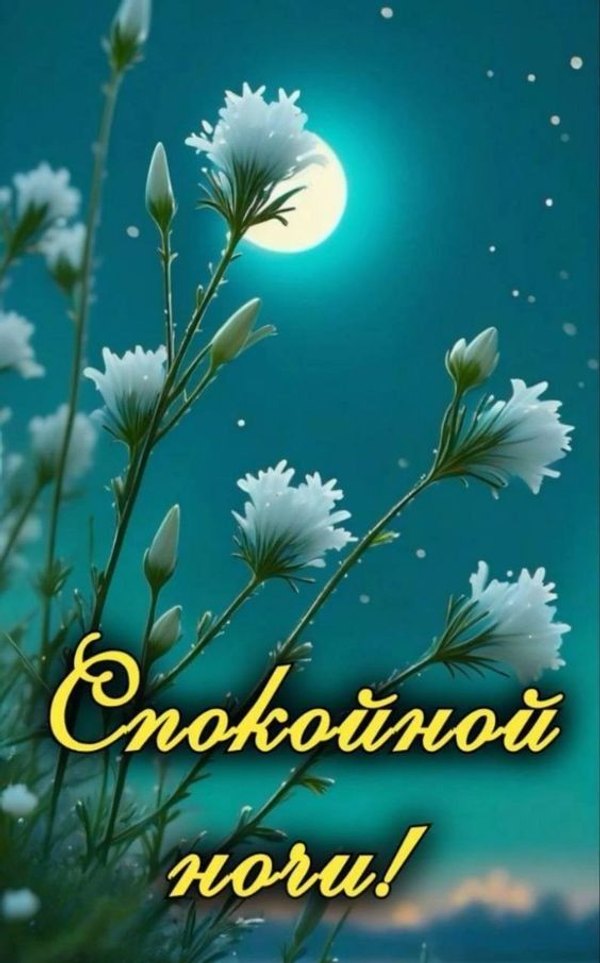 Изображение №13 564x905  из коллекции «Летние открытки «Спокойной доброй ночи!»»