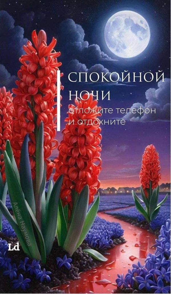 Изображение №9 736x1267 «Открытка Спокойной ночи! Отложите телефон и отдохните!» из коллекции «Летние открытки «Спокойной доброй ночи!»»