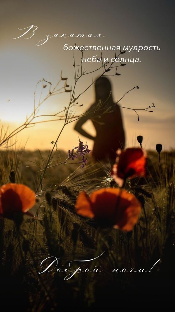 Изображение №40 675x1200 «Открытка В закатах божественная мудрость неба и солнца!» из коллекции «Летние открытки «Спокойной доброй ночи!»»