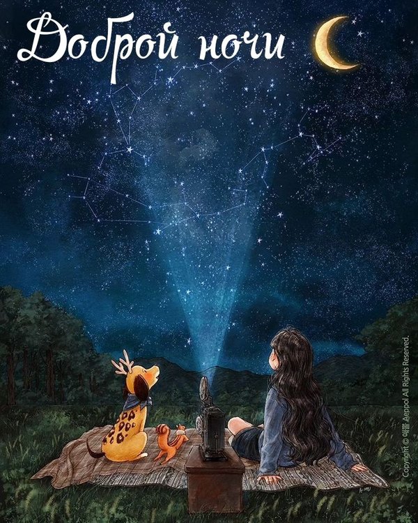 Изображение №75 736x920  из коллекции «Летние открытки «Спокойной доброй ночи!»»