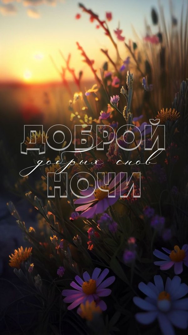Изображение №17 675x1200 «Открытка Доброй ночи! Добрых снов!» из коллекции «Летние открытки «Спокойной доброй ночи!»»