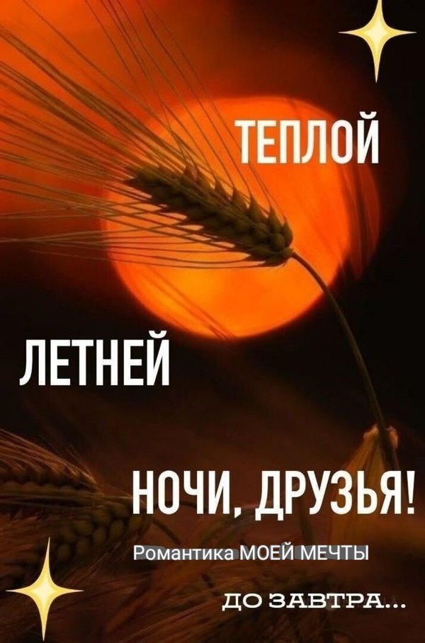 Изображение №86 1080x1634 «Открытка Тёплой летней ночи, друзья!» из коллекции «Летние открытки «Спокойной доброй ночи!»»