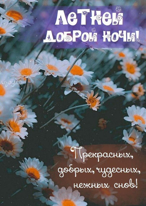 Изображение №22 588x831 «Открытка Летней доброй ночи!» из коллекции «Летние открытки «Спокойной доброй ночи!»»