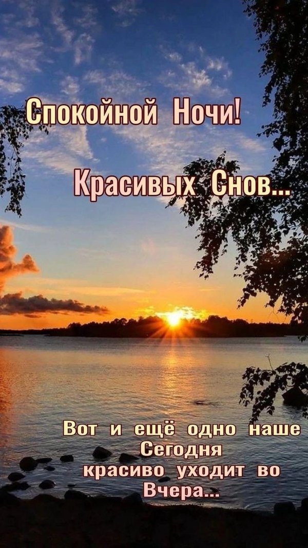 Изображение №4 736x1308 «Открытка Спокойной ночи! Красивых снов...» из коллекции «Летние открытки «Спокойной доброй ночи!»»