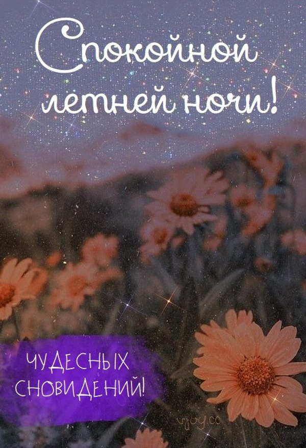 Изображение №81 562x822 «Открытка Спокойной летней ночи! Чудесных сновидений!» из коллекции «Летние открытки «Спокойной доброй ночи!»»