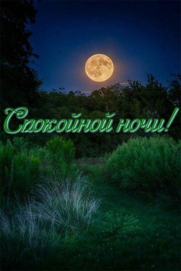 Изображение №36 720x1080  из коллекции «Летние открытки «Спокойной доброй ночи!»»