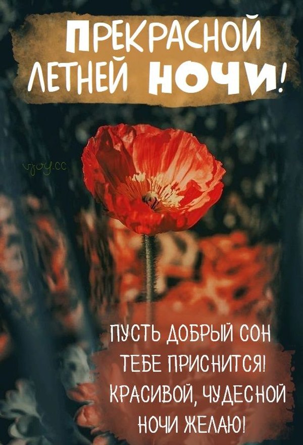 Изображение №77 557x817 «Открытка Прекрасной летней ночи!» из коллекции «Летние открытки «Спокойной доброй ночи!»»