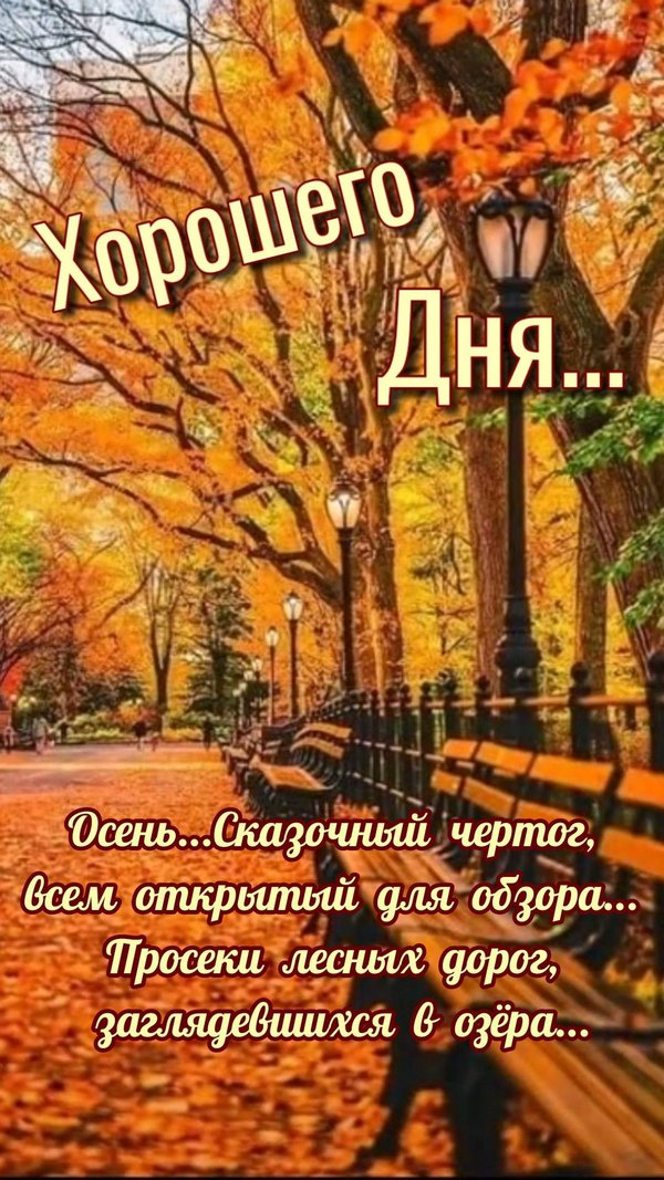 Изображение №51 1080x1920  из коллекции «Осенние открытки «Хорошего доброго дня!»»