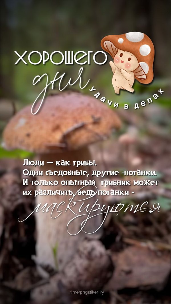 Изображение №44 675x1200 «Хорошего дня! Удачи в делах!» из коллекции «Осенние открытки «Хорошего доброго дня!»»