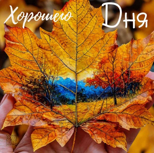 Изображение №66 1200x1188  из коллекции «Осенние открытки «Хорошего доброго дня!»»