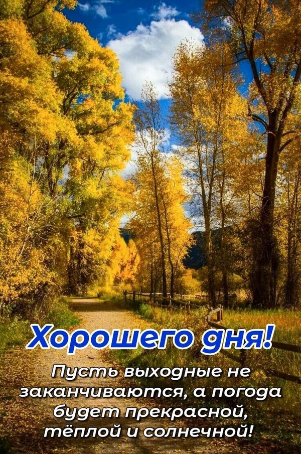 Изображение №27 1080x1629  из коллекции «Осенние открытки «Хорошего доброго дня!»»