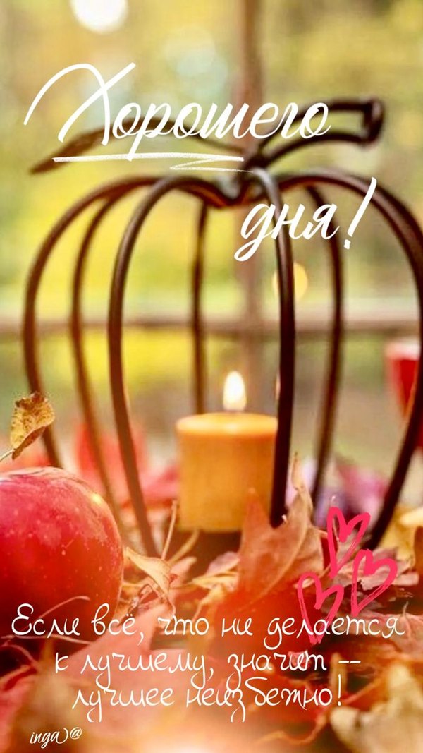 Изображение №36 675x1200  из коллекции «Осенние открытки «Хорошего доброго дня!»»