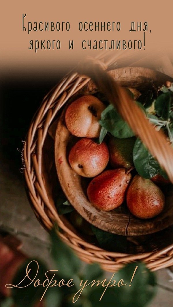 Изображение №53 1076x1913 «Красивого осеннего дня, яркого и счастливого! Доброе утро!» из коллекции «Осенние открытки «Хорошего доброго дня!»»